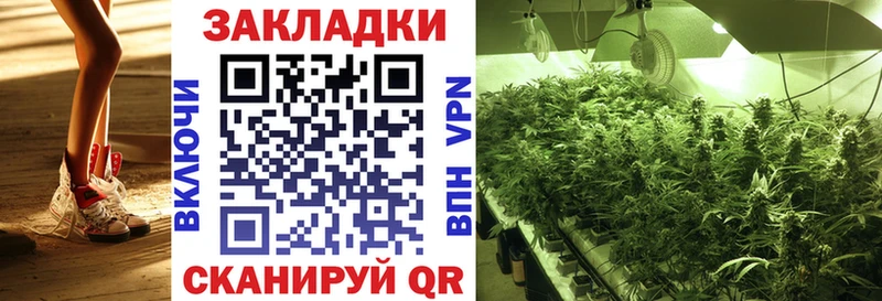 Магазины продажи наркотиков Александровск-Сахалинский Кокаин Alpha PVP Меф мяу мяу ГАШ Конопля