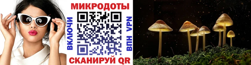 Галлюциногенные грибы мицелий  MEGA онион  Александровск-Сахалинский  цены наркотик 